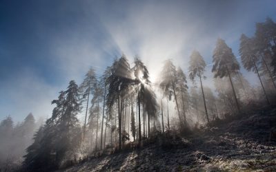 Misteriozni Fenomeni Širom Svijeta: Tajanstvene Lokacije i Pojave koje Oduzimaju Dah